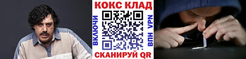 Купить  Мегион  Кокаин Fish Scale 