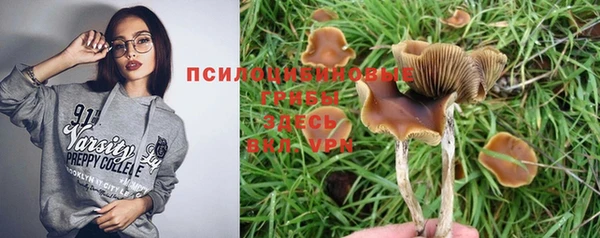 метадон Михайловск