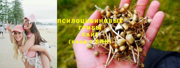 jwh Михайлов