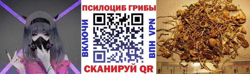 Галлюциногенные грибы ЛСД  Купить  Мегион 